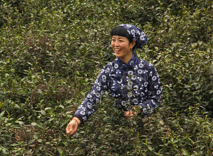 韩国女主播在线 最后一场直播